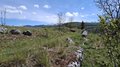 20260509_114820.jpg