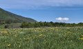 20260509_114958.jpg