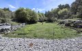 20260509_115715.jpg