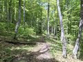 20260509_144238.jpg