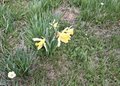 20260509_160831.jpg