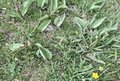 20260509_161037.jpg