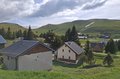 20260509_165246.jpg