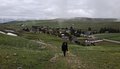 20260510_095503.jpg