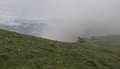 20260510_105810.jpg