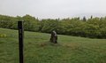 20260510_112140.jpg