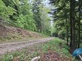20260510_141731.jpg