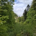 20260510_161123.jpg