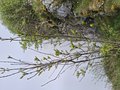 20260510_161903.jpg
