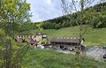 20260511_102758.jpg