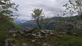 20260511_103350.jpg
