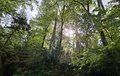20260511_105535.jpg