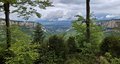 20260511_112954.jpg