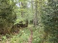 20260511_113411.jpg