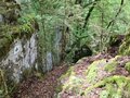20260511_124245.jpg