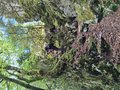 20260511_124353.jpg