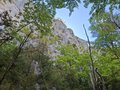 20260511_124723.jpg