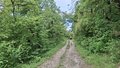 20260511_144621.jpg