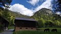 20260513_133541.jpg