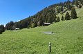 20260513_140919.jpg