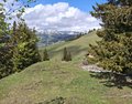 20260513_143241.jpg