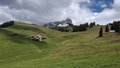 20260513_144602.jpg