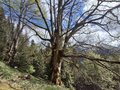 20260513_151605.jpg