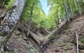 20260513_154227.jpg