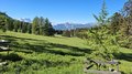 20260522_094734.jpg