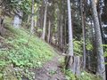20260522_100541.jpg