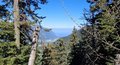 20260522_101831.jpg