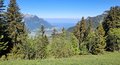 20260522_102724.jpg
