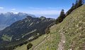 20260522_134352.jpg