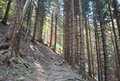 20260525_102327.jpg