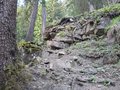 20260525_104027.jpg
