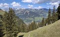 20260525_110358.jpg