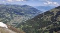 20260525_115421.jpg