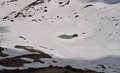 20260525_141049.jpg