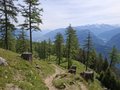 20260530_110642.jpg