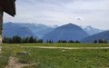 20260530_113001.jpg