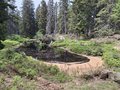 20260530_154442.jpg
