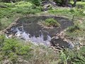 20260530_155231.jpg