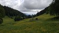 20260606_104953.jpg