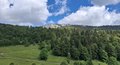 20260606_105309.jpg