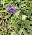 20260606_105529.jpg