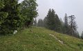 20260606_113743.jpg