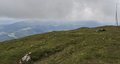 20260606_121919.jpg