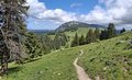 20260606_124412.jpg