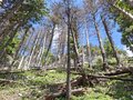 20260606_134613.jpg