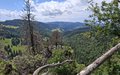 20260606_134942.jpg